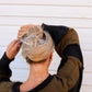 KAXI LAY DOWN CLAW 2.0 : MATTE BLUE - KAXI