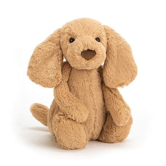 Bashful Toffee Puppy - JellyCat
